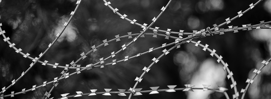 Concertina Coil Fencing Installation Tamil Nadu — Nila Fencing Contractors